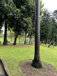 Bukit Purmei Road (Bukit Merah),  #581324541